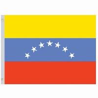 Nylon Venezuela Civil Flag