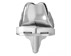 Knee Replacement Implant casting