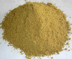 Animal Feed ( Fish Meal )