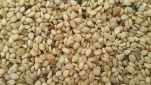 white sesame seeds