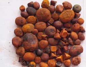 High Quality 80/20 Cow/Ox/Cattle Gallstones