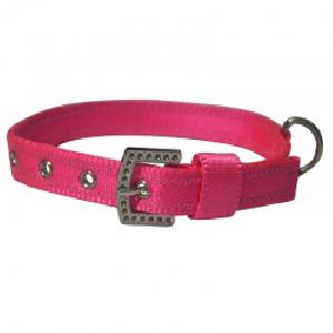 dog collars