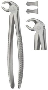 Tooth Forceps For Lower