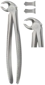 Lower Molars Tooth Forceps