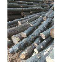 Solid Daik Wood Log