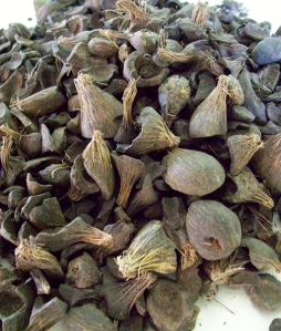 Palm Kernel Shell
