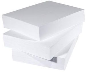 Paper & Paper Products
