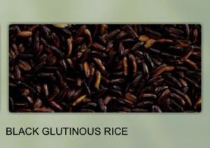 Black Glutinous Rice