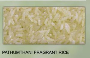 Pathumthani Fragrant Rice