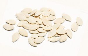 Pumpkin Seed Pumpkin Seed