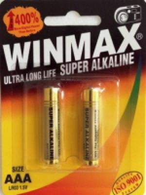 AAA Batteries (2 pack)