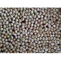 30 Kg Indian Chick Peas
