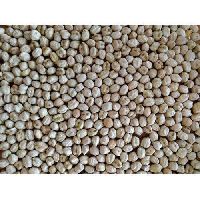 Whole Dried Chick Peas