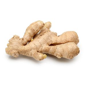 fresh ginger