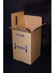 Gallon Hedpak Carton