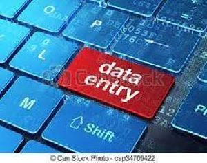 Domestic Data Entry Projects services