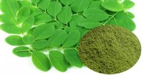 Moringa Oleifera Leaf Powder, Packaging Type : aluminium foil bag