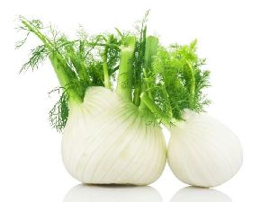 Fennel Bulb