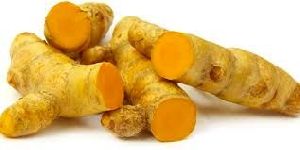 Low Curcuma Turmeric Finger