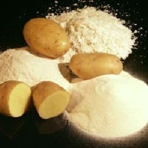 Image result for potato powder demand in india
