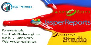 JASPER Report Online Training