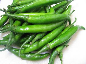 fresh green chilli