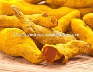 Tumeric Fingers