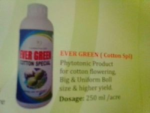 Evergreen Plant Growth Promoter