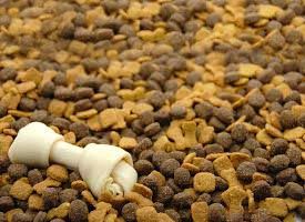 Cat PET Food (78451)