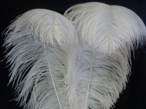 Ostrich Feather For Wedding Centerpiece