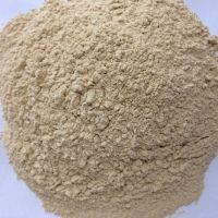 Premium Dry Garlic Powder