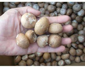 Whole and Split Betel Nut