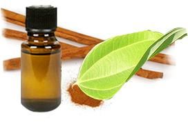 Cassia Oil
