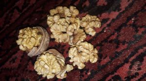 walnuts