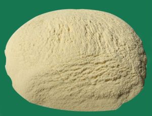 Durum Wheat Semolina