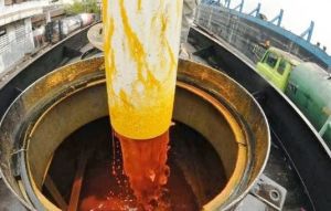 crude palm oil,  Cultivation Type : Natural