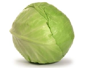 Fresh Cabbage