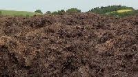 Cow Dung Crop Waste