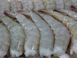 Frozen Vannamei White Shrimps