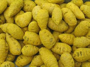 turmeric ghatta