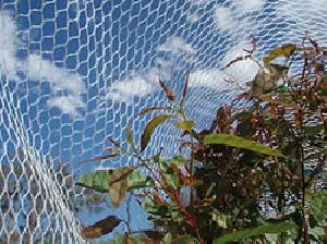 HDPE Monafilament Shade Net