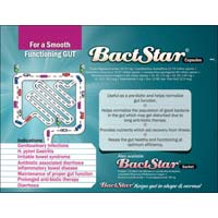 Bact Star Capsule