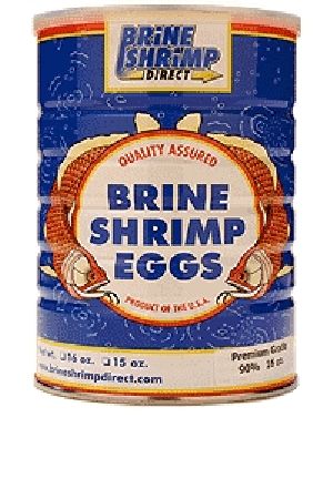 brine shrimp eggs wholesale