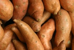 Fresh Sweet Potato