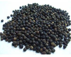 Paper & Paper Products