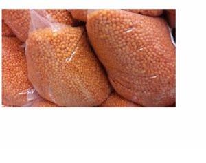 Food Grains & Cereals