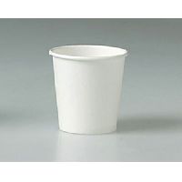 Plain Paper Cups