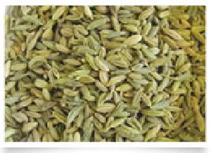 Fennel Seeds