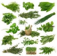 Pure and Natural Herbs