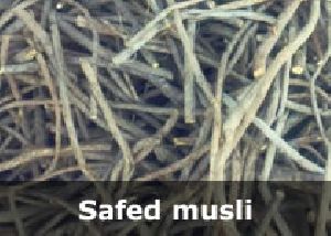 safed musli